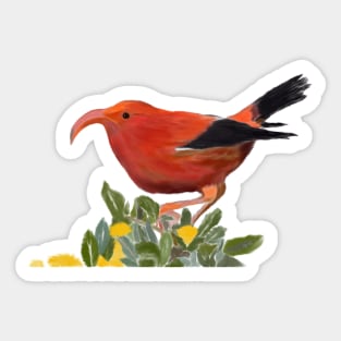 ‘Iʻiwi, Hawaiian Bird Sticker